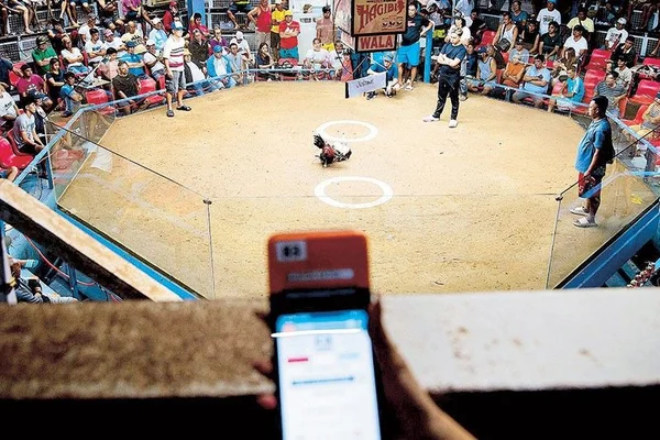 Online Sabong Live Cockfighting